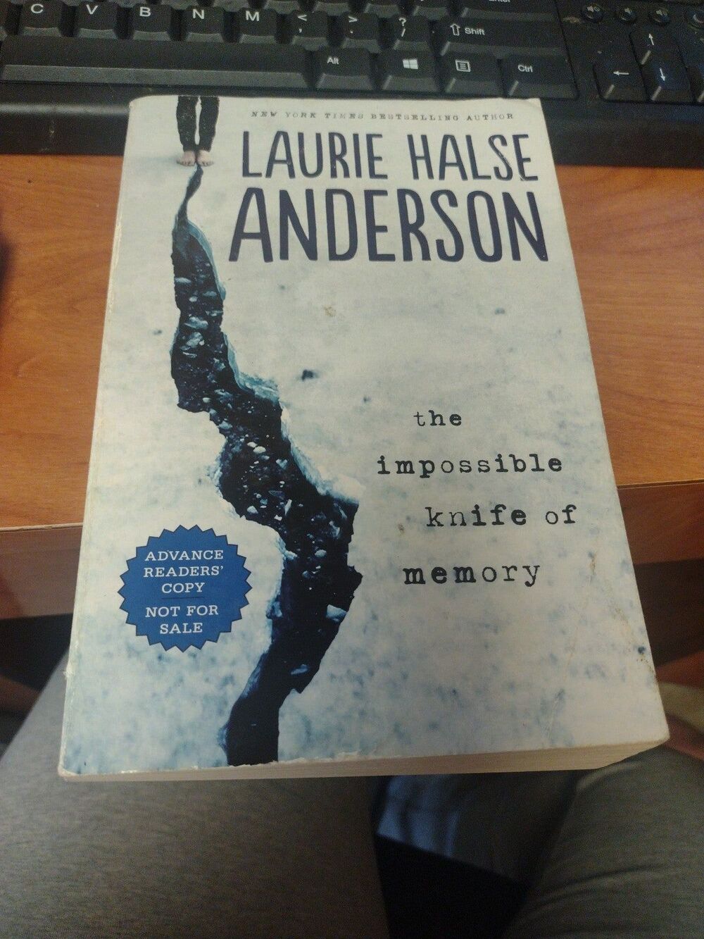 The impossible knife of memory by Laurie Halsey Anderson-a12
